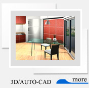 3D