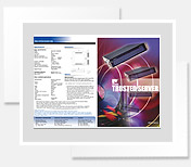 Trusted Server Brochure
