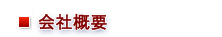 ЊTv