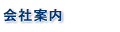 Company Profile Company Profile